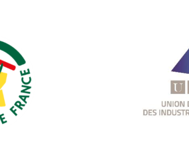 UMIH / GITES DE FRANCE                                              Réguler l’essor des meublés non classés en alignant les règles.